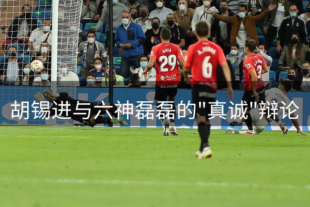 胡锡进与六神磊磊的"真诚"辩论